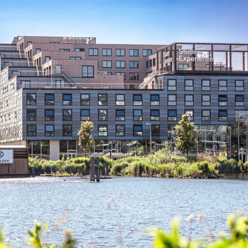 Student Experience Minervahaven Amsterdam